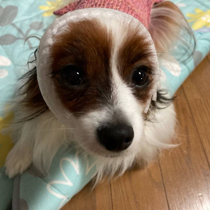 6cb84a6e cbde 4269 95a2 7a9728945a37 1634285652867