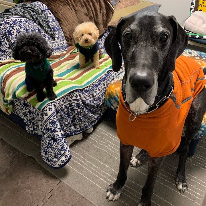 6cb85158 491f 4111 b841 e71209d0483f 1580426215878