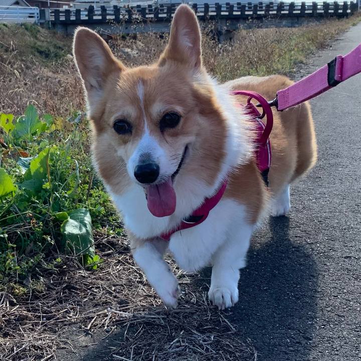 6cb8988c 63d7 4a5d ab5c fb0d65dfddd3 1640751962192