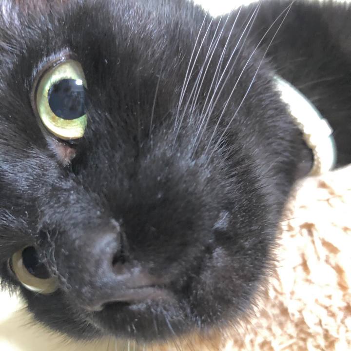 6cb89a2b 9186 42a9 bfc1 12b7e2b2f009 1604722080820