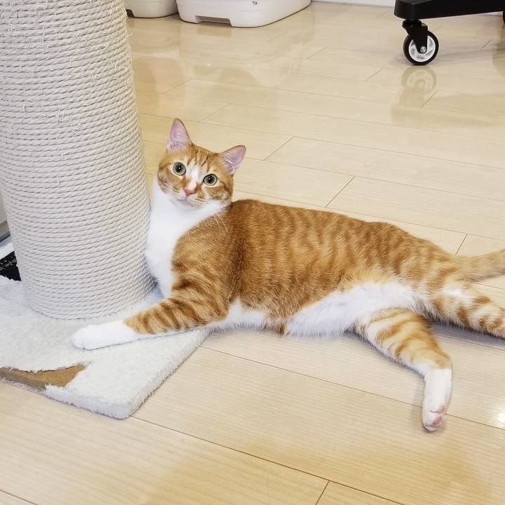 6cb8a608 9c95 4b26 9c96 c7cd8073298c 1547040944978