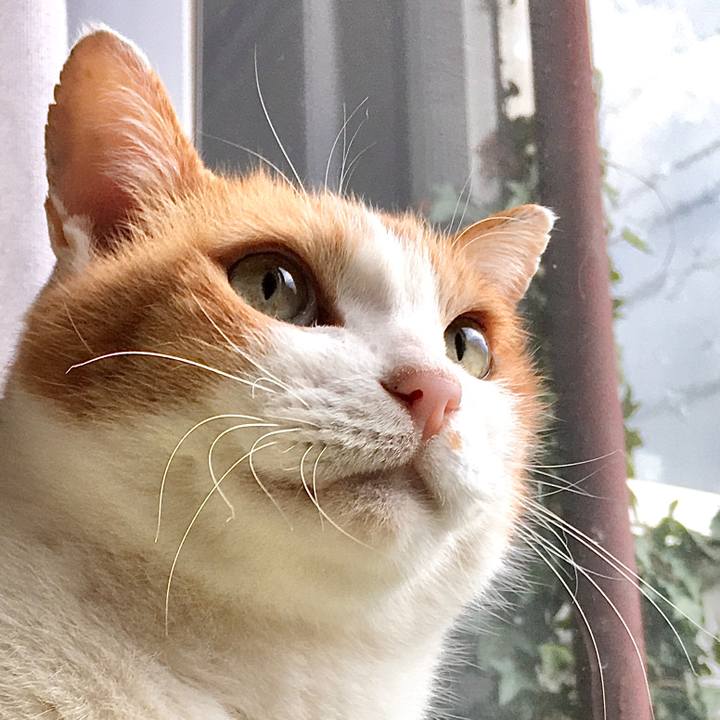 6cb8add3 1bc7 46e8 8948 bec6541cebf6 1578970033494