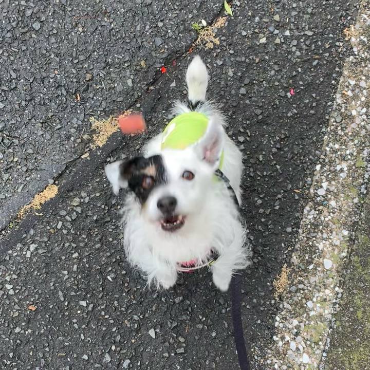 6cb8c438 5221 4370 8dfd 8cf3769ec391 1715038905832