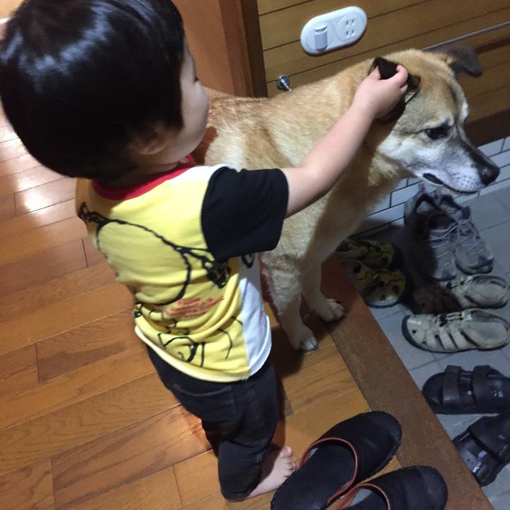 6cb90053 1f77 4c87 a86c 2af92b06ddcd 1528416354455