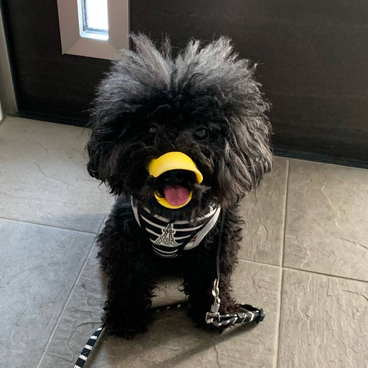 6cb95942 dd1d 43bf aef7 c48fc10ac249 1588371518146