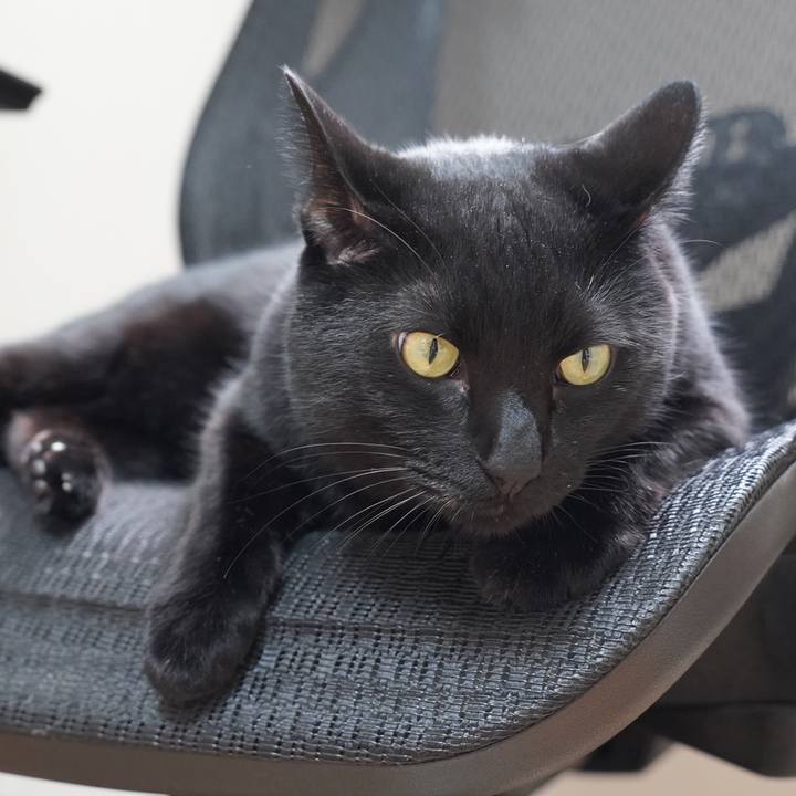 6cb97556 ff86 473f 8b98 4890e874ae67 1698758236691