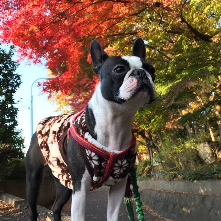 6cb976a2 cd26 4ce0 9f92 caf98f7cb641 1543666658089