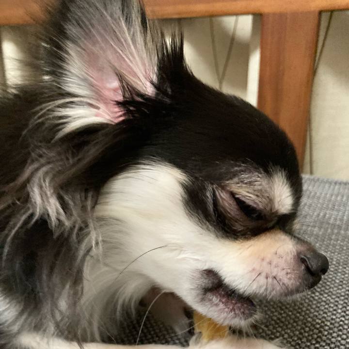 6cb97b8e 9dd9 41b0 a3a0 7e982ced276a 1635082977589