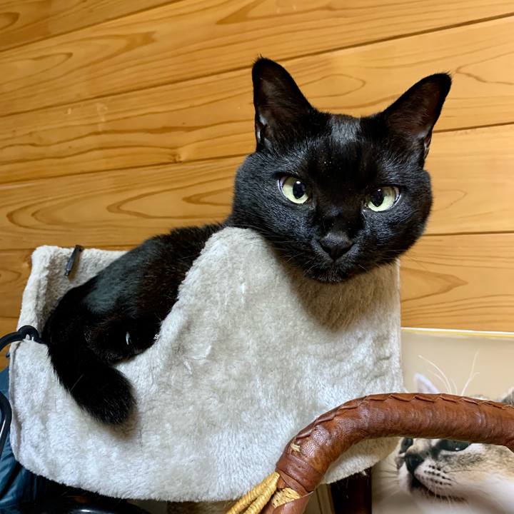 6cb98682 11ab 4f16 86be 93940b11ad7e 1637663030022