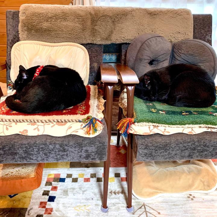 6cb98c51 16f8 4872 8963 873d1faea2d1 1581732656796