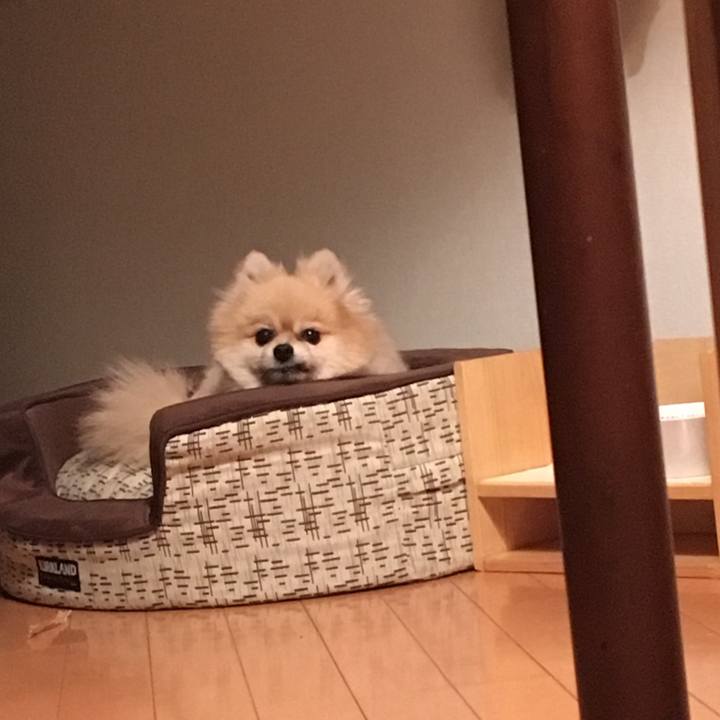 6cb9a2ca 027f 4783 85a2 4a4598e1d975 1531573655286