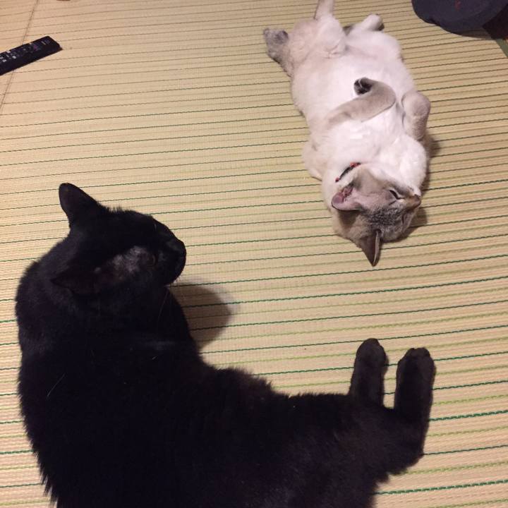 6cb9d0cc cbb5 419f ab7b 13b8cec66ceb 1532255722119