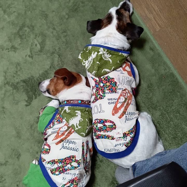 6cba0865 8040 4916 bb7a 7c1abd70087a 1650458809304