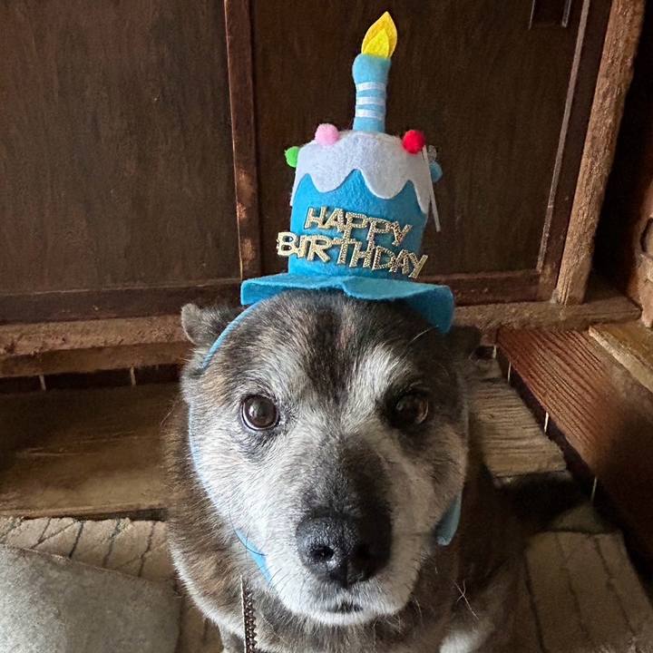 6cba24d8 c329 4a89 9c6d 0ca12c9aeac6 1717934127600