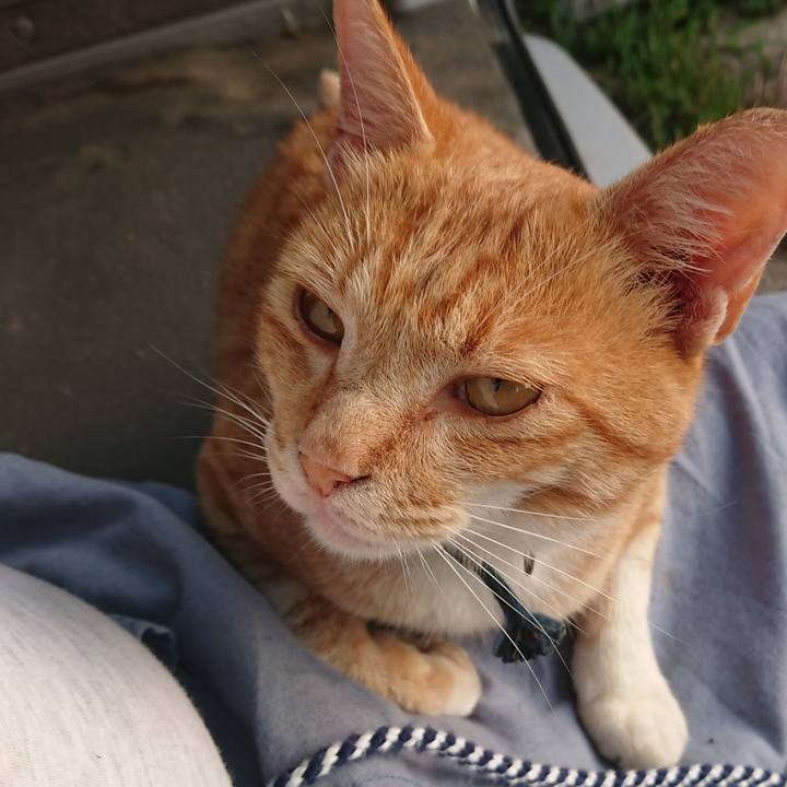 6cba609f 7716 4973 9f66 94c3887596b1 1564087117058