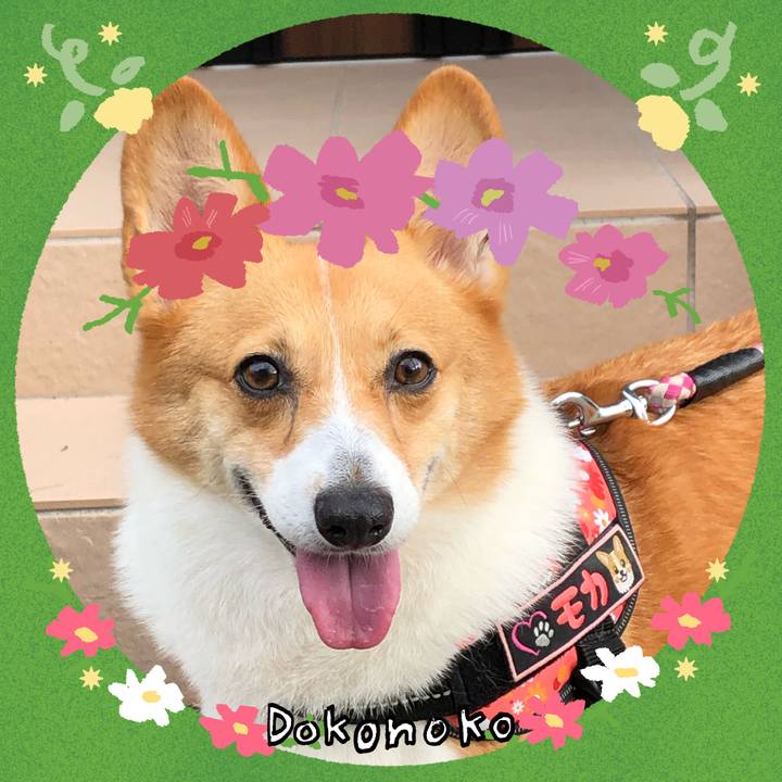 6cba65a4 079d 4ab9 9c48 abd7fc78c590 1727359058288