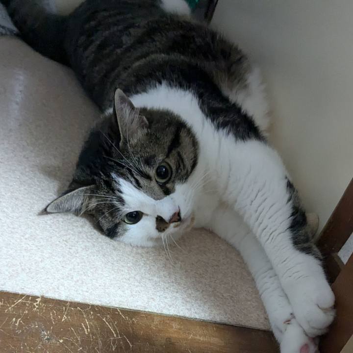 6cba8f2d 87b5 461a 9e05 8a77f5174bec 1719116443746