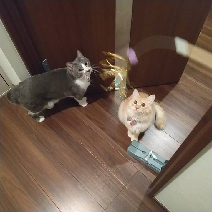 6cbac458 f8ba 4eb1 970e ddf7af5f2a07 1643065365131