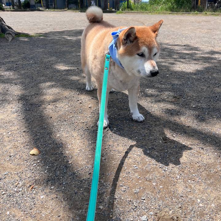 6cbb0787 e002 4936 9094 e17ece47cfa6 1717207396751