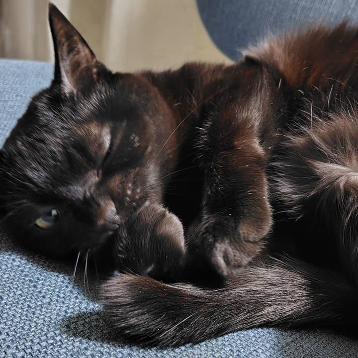 6cbb145e 479f 43f1 a541 fb436a64d108 1772615230485