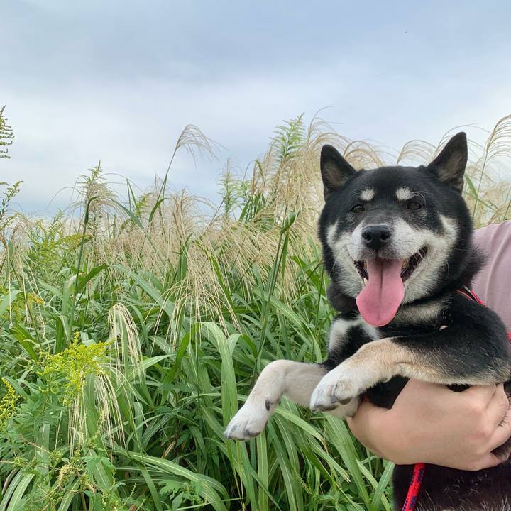 6cbb6227 dc9b 492e 97ca feca71db5e32 1665545493203