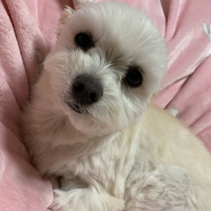 6cbb9543 cf97 4cd1 82de a8d5d8324b0e 1586170653630