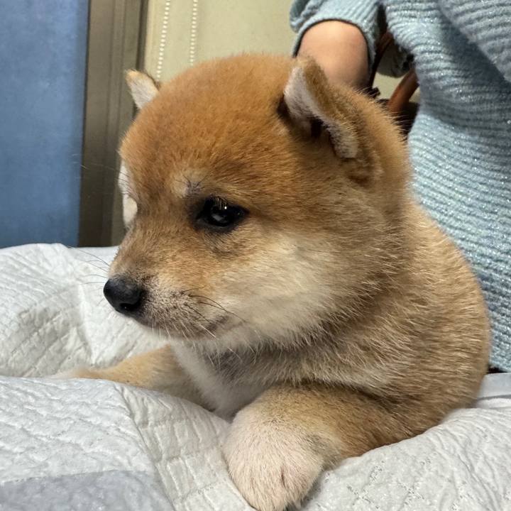 6cbbbcf8 8ad7 4a78 a324 1f9fa8e5fc47 1767269105766