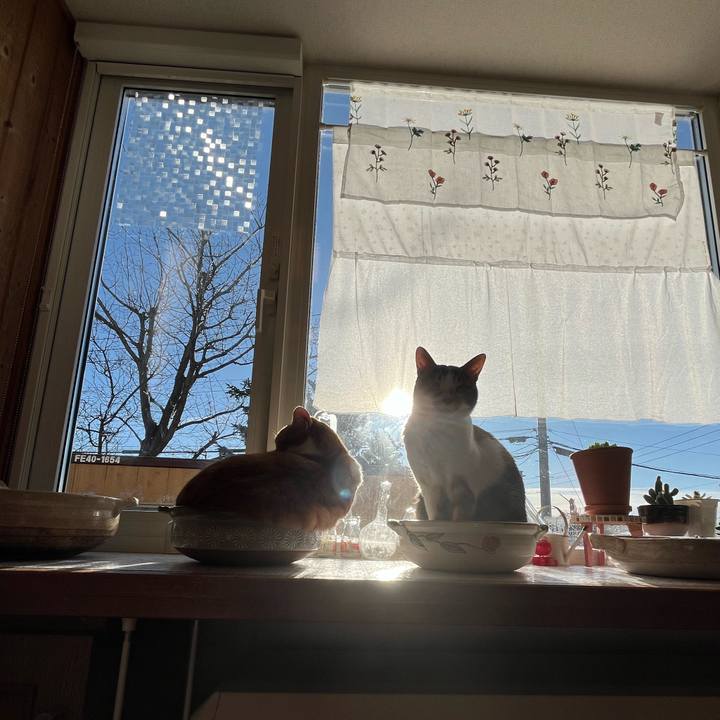 6cbbd0c8 adb0 4a77 bf99 938a2d7d3bf9 1701301898870