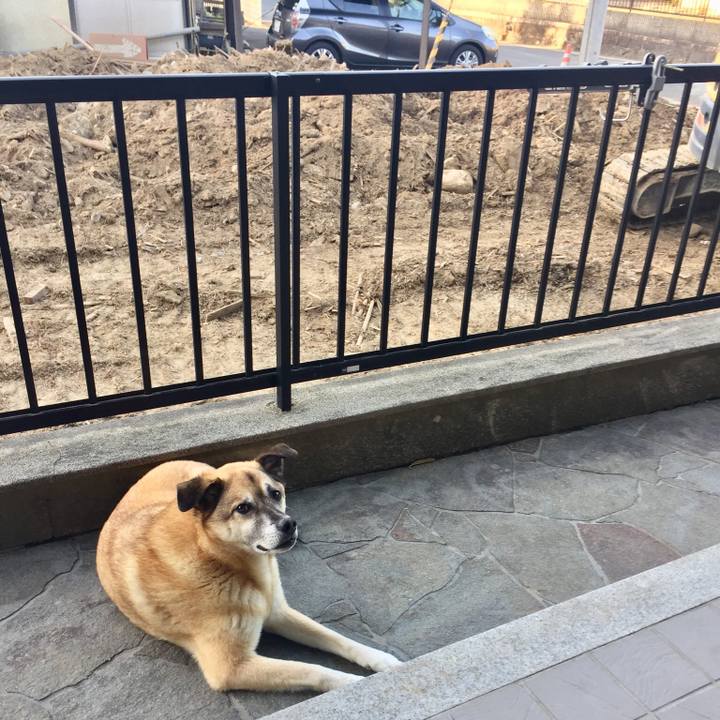 6cbbd66a 7573 4d5a 8950 8c257e95ef67 1527153992979