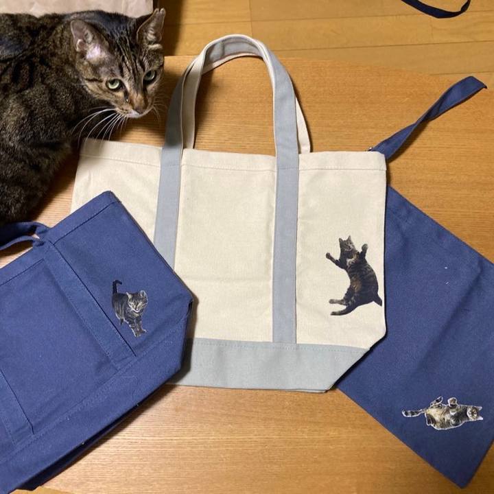 6cbbffe2 6d6a 49c2 bdec 46a21d54fe75 1689168689664