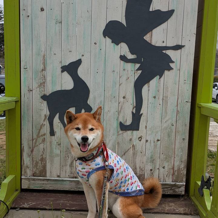 6cbc0854 b39e 46d1 975a b355455b9247 1745408180219