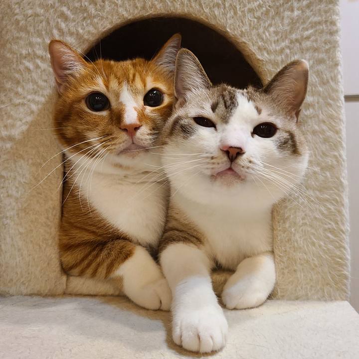 6cbc0b48 e9c9 4a21 b75d 4581877ee0fc 1669778605645