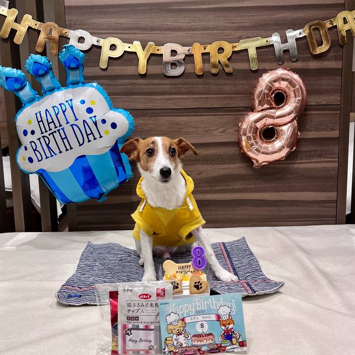 6cbc284a 9aa2 4394 bdeb e62009286bba 1709269884673