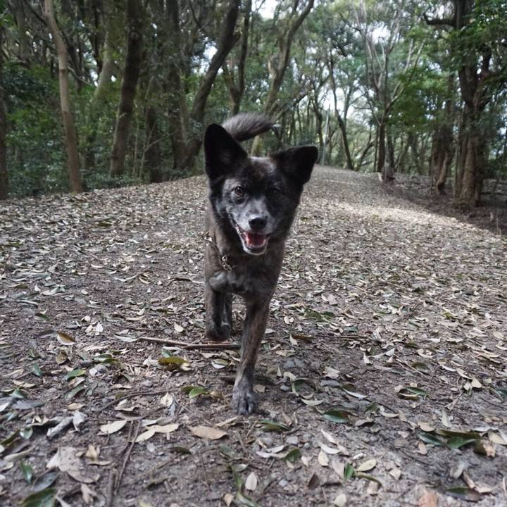 6cbc52a0 2c37 45a9 810a 5b75377b133a 1524561487609