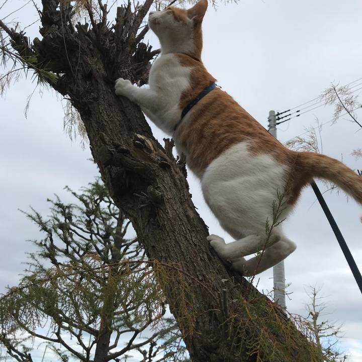 6cbc75f1 f67c 4304 8aa7 b9e38ee5ee70 1512105521467