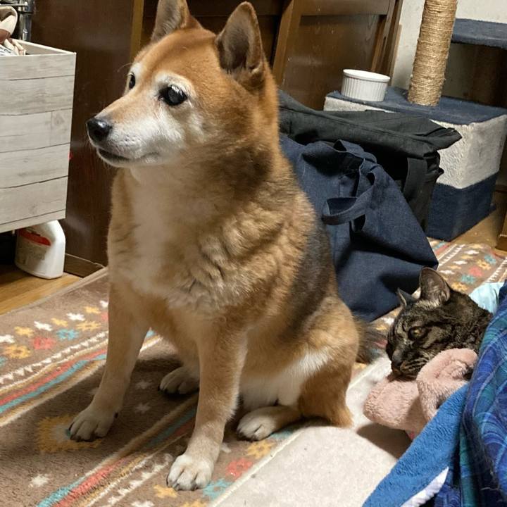 6cbc984b bdac 4351 8000 c62ef5632dcf 1644150864526