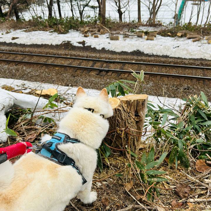 6cbccc61 86f2 49d7 bb33 e9816632aeb3 1775084703594