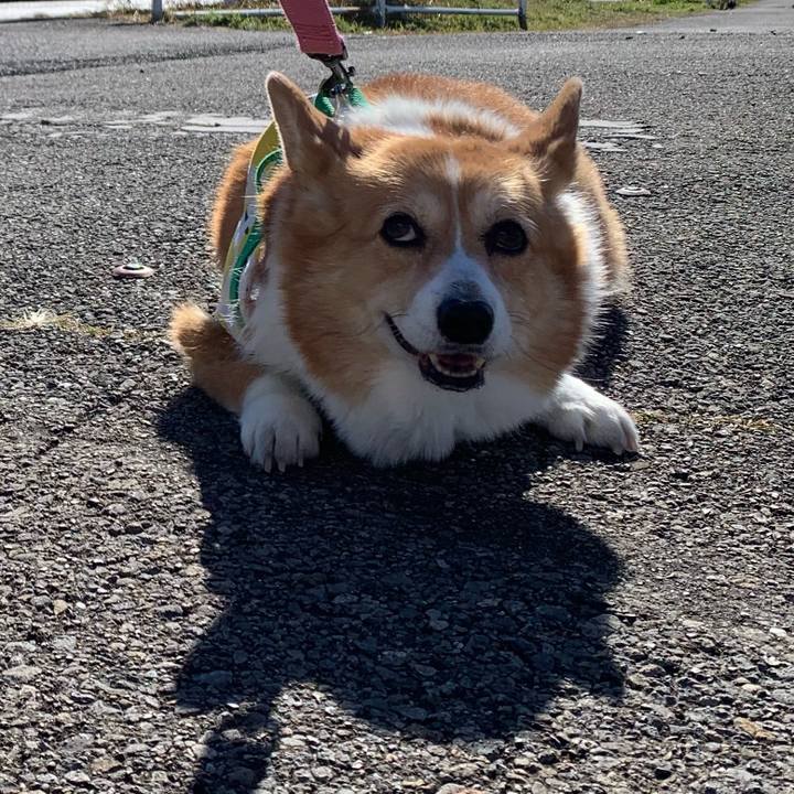 6cbcfd9d e012 4b0d 81d6 be829faae88f 1706242688554