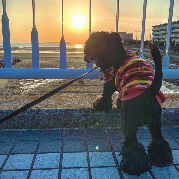 6cbd0ae3 deb9 4e54 bf51 119eb51ee5a1 1611594121160