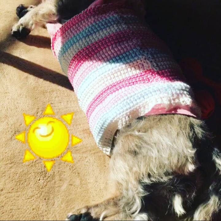 6cbd1938 9dbc 42fe bb35 09b09cb955bb 1519950645693