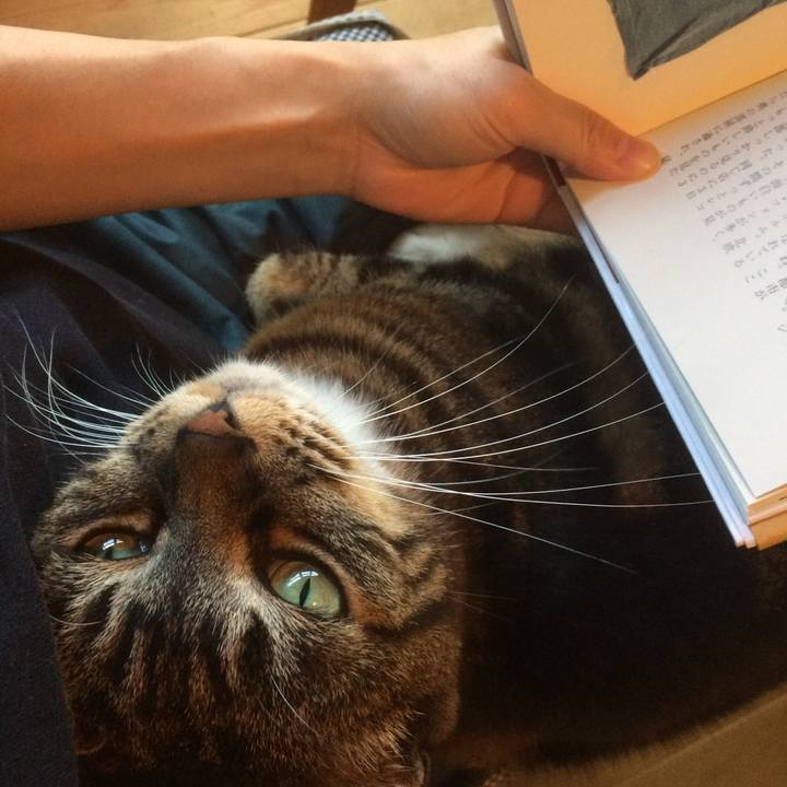 6cbd1bb2 97e5 41de 86a6 7222fcafcb7e 1596370902945