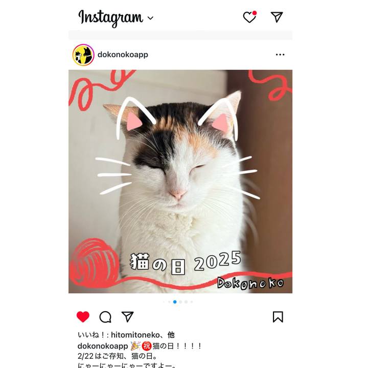 6cbd2cdc 7fa5 43e8 a5ee 59bdb4f494f9 1740194059368