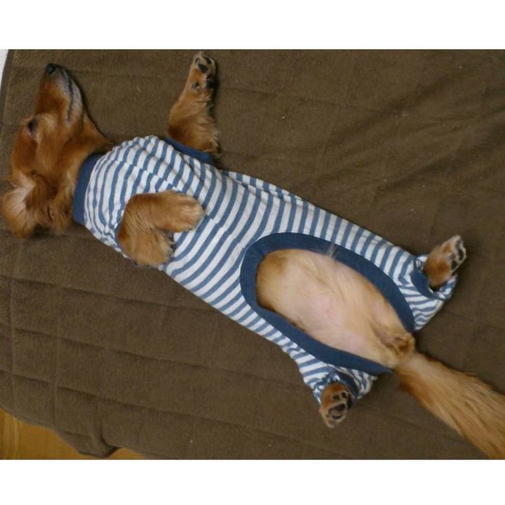 6cbd8b56 fb1a 4a89 b570 41f309f93602 1561660193002