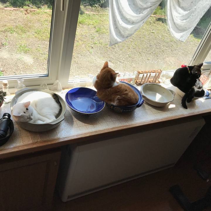 6cbd8dd5 a27c 4d25 b76f 7a412da4c06f 1597634170518