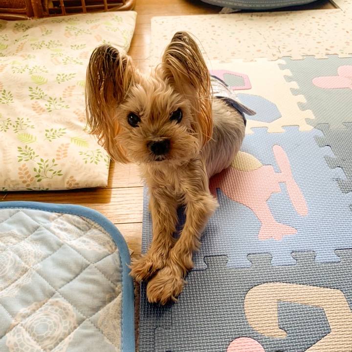 6cbdcf7c 089b 4520 9030 0592d32fd2b7 1663405959786