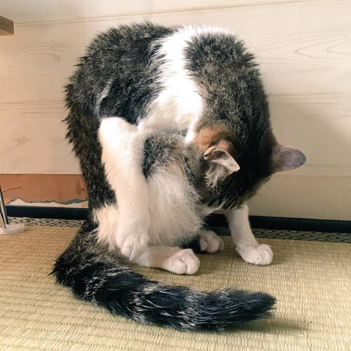 6cbdd317 131d 40e8 b68c 2cd6390ac634 1522722533370