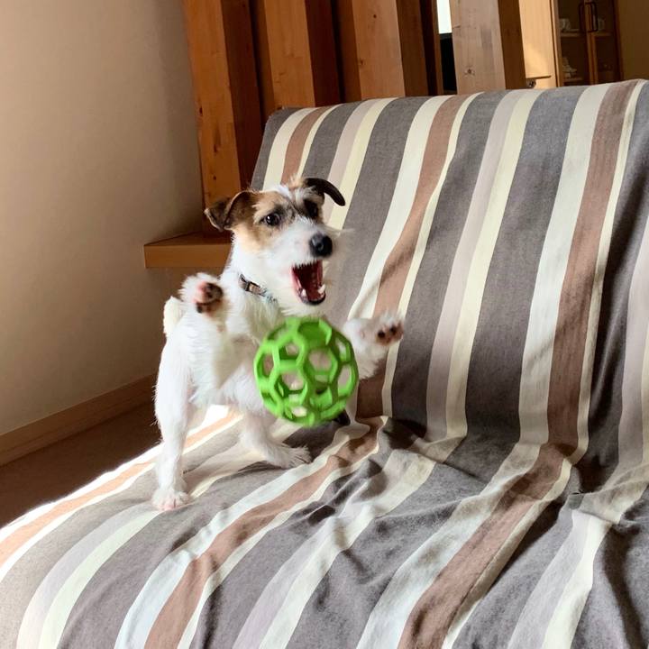 6cbde92e f3fc 4c67 a904 56a665623757 1582592725992