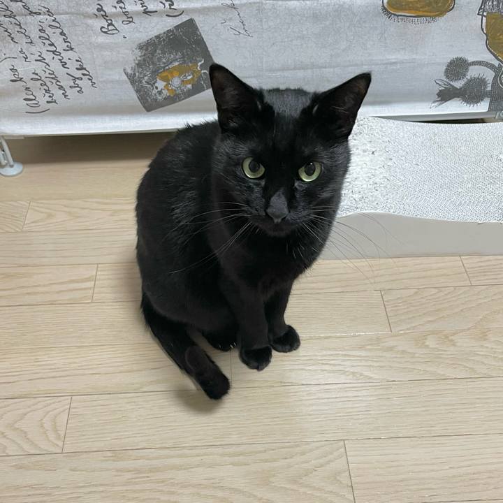 6cbdf435 3ef0 4c36 87a3 d1ae0fd747ce 1643980291353