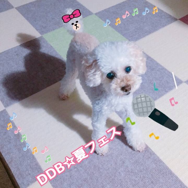 6cbe42f5 a30f 4792 8540 323c7566f3bb 1534079544810