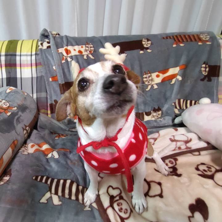 6cbe431f 2e54 439b b09a 212d623c39b7 1766581890195